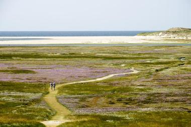 Texel Dunes National Park