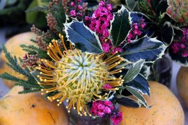 Waimea Homestead Farmers Market
