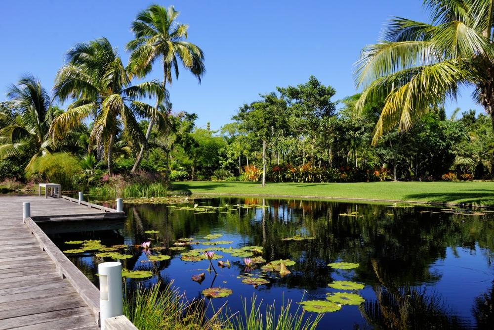 Wander Lush Gardens and Interactive Play Areas at Naples Botanical Gardens