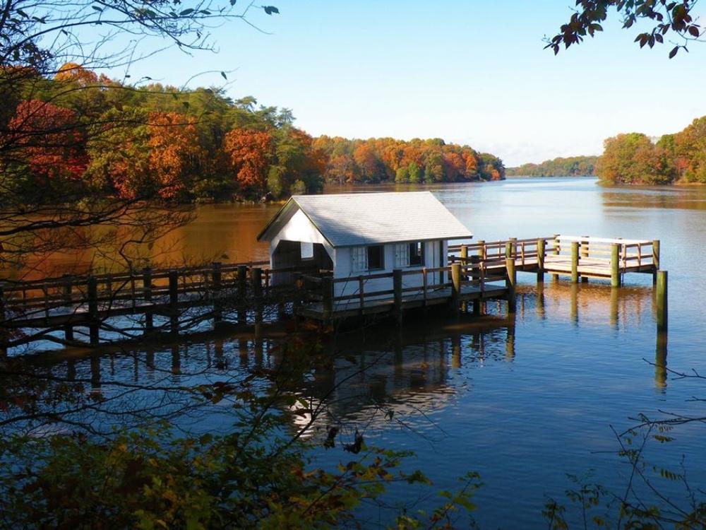 Wander Nature Trails and Spot Birds at Pickering Creek Audubon Center