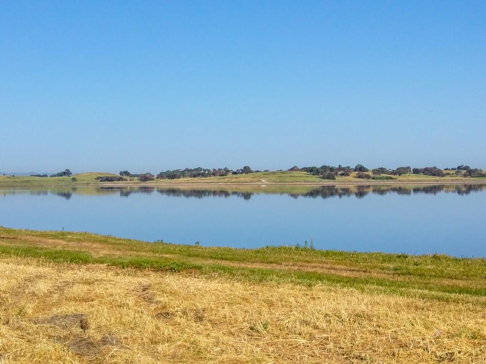 Wander Wild at Baylands Nature Preserve