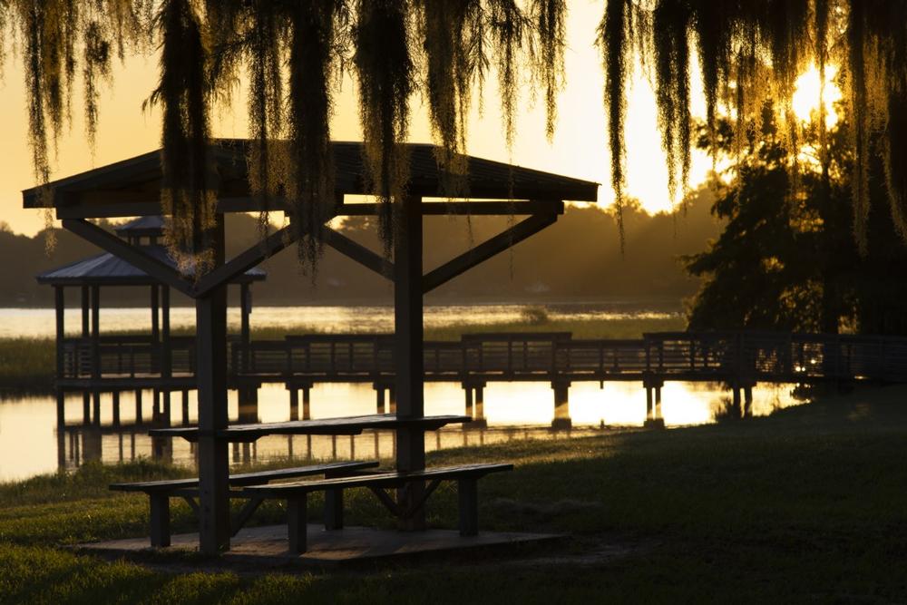 Watch wildlife and stroll boardwalks on a relaxing family outing.