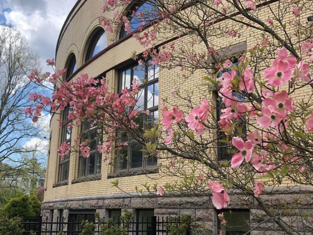 Westerly Public Library and Wilcox Park