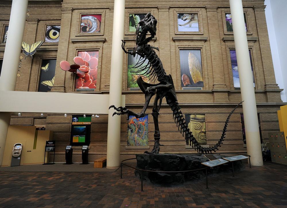 Explore space, wildlife, and hands-on exhibits in this fascinating museum.