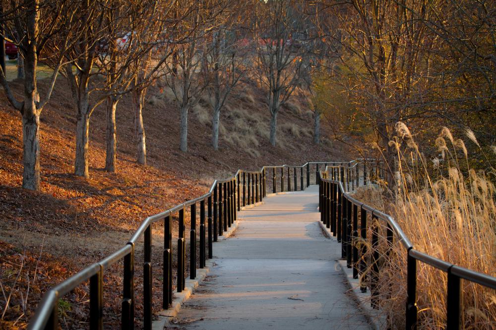 Bike or Walk the Scenic Route on the Columbus Fall Line Trace