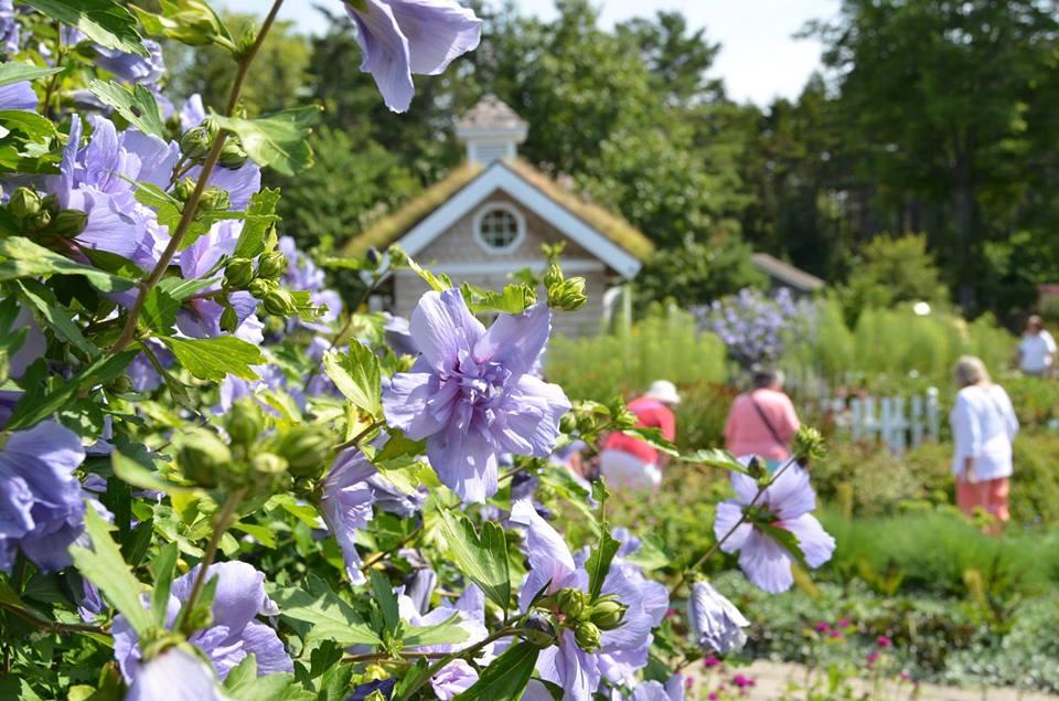 Explore stunning floral landscapes or visit enchanting walking trails.