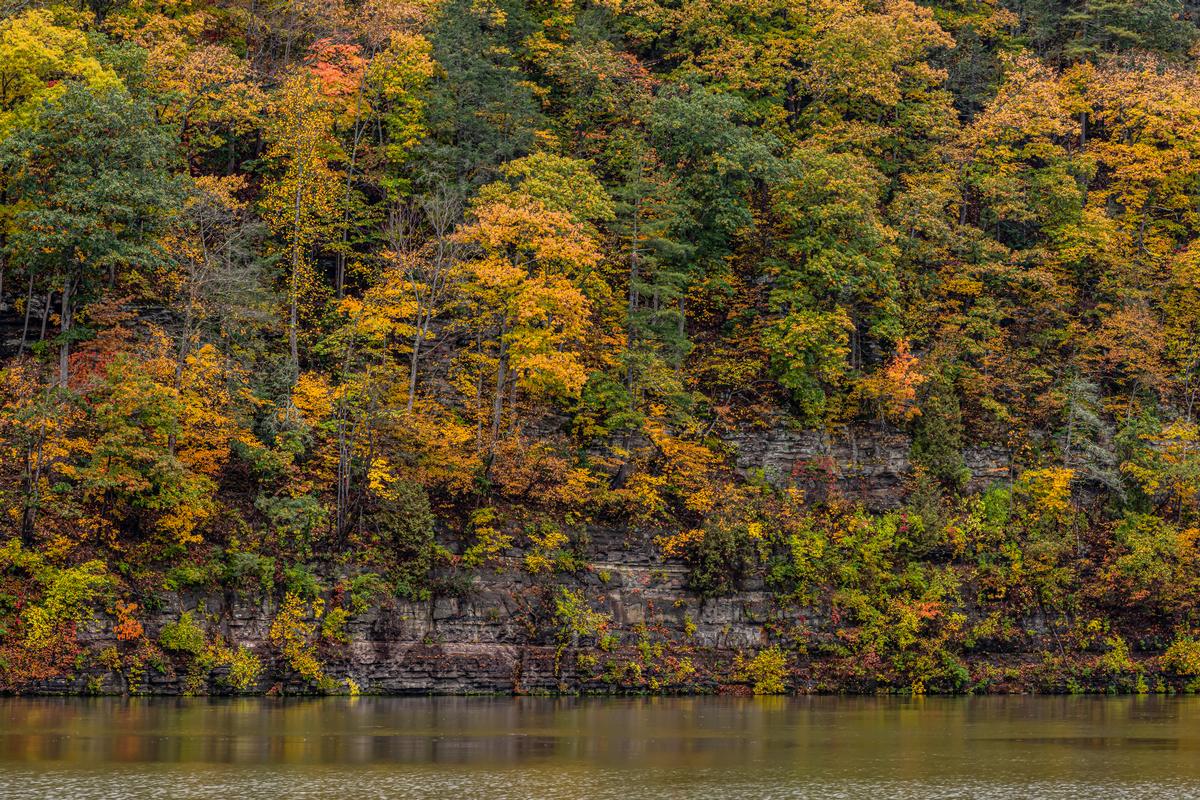  Bluestone State Park is a fantastic spot to enjoy a fall foliage weekend. 