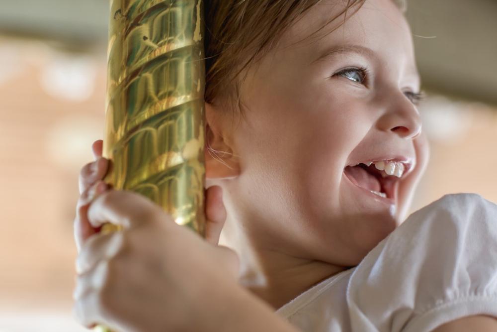 Enjoy family-friendly attractions and ride the historic carousel at this lively park.