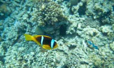 Deep Blue Dive Center