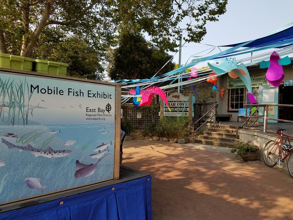 Discover Marine Life and Tidal Wonders at Crab Cove