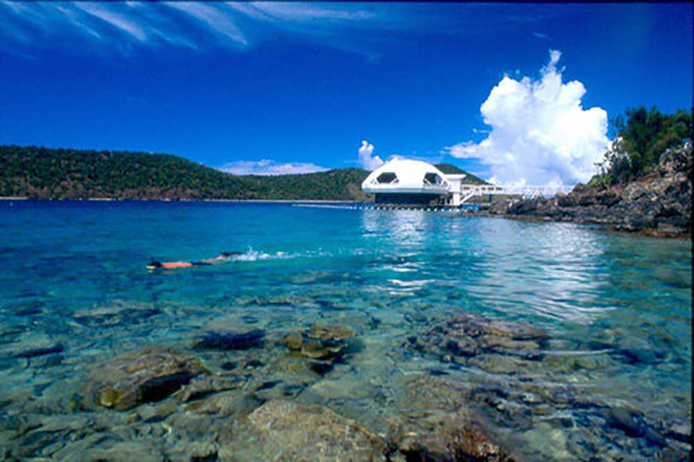 Dive Deep into Discovery at Coral World Ocean Park