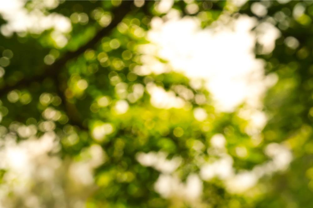 Escape Into Nature at Lord Hill Regional Park