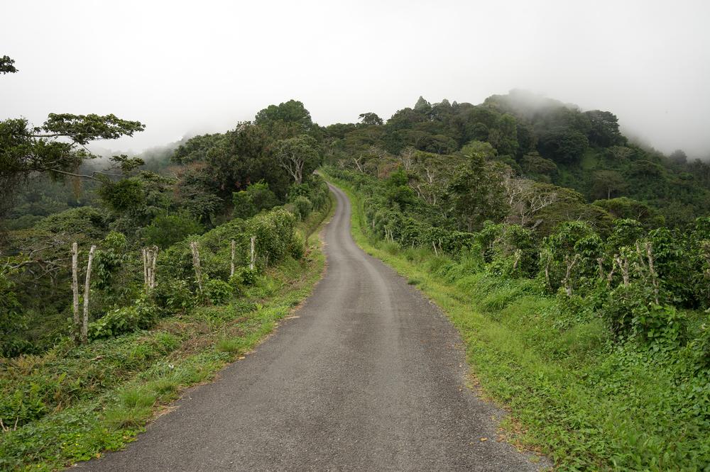 Escape to Boquete and Hike, Sip, and Breathe in the Highlands