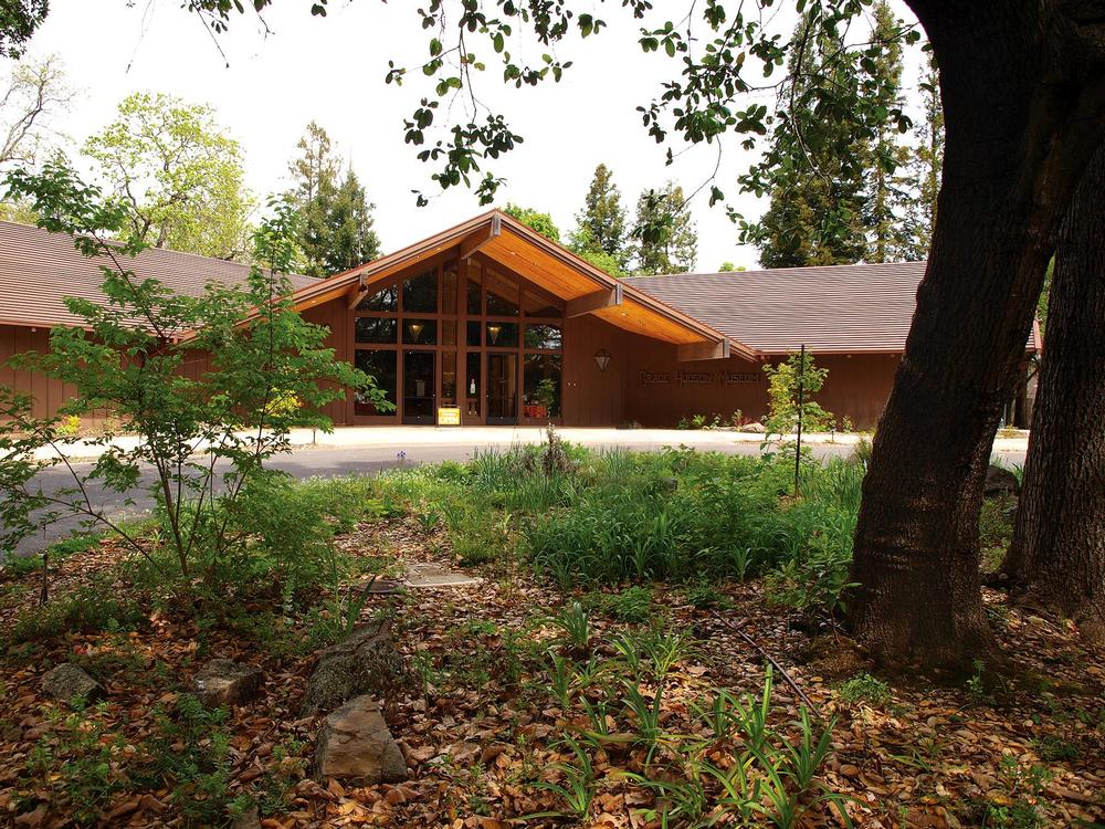 Explore Native American Art and History at the Grace Hudson Museum