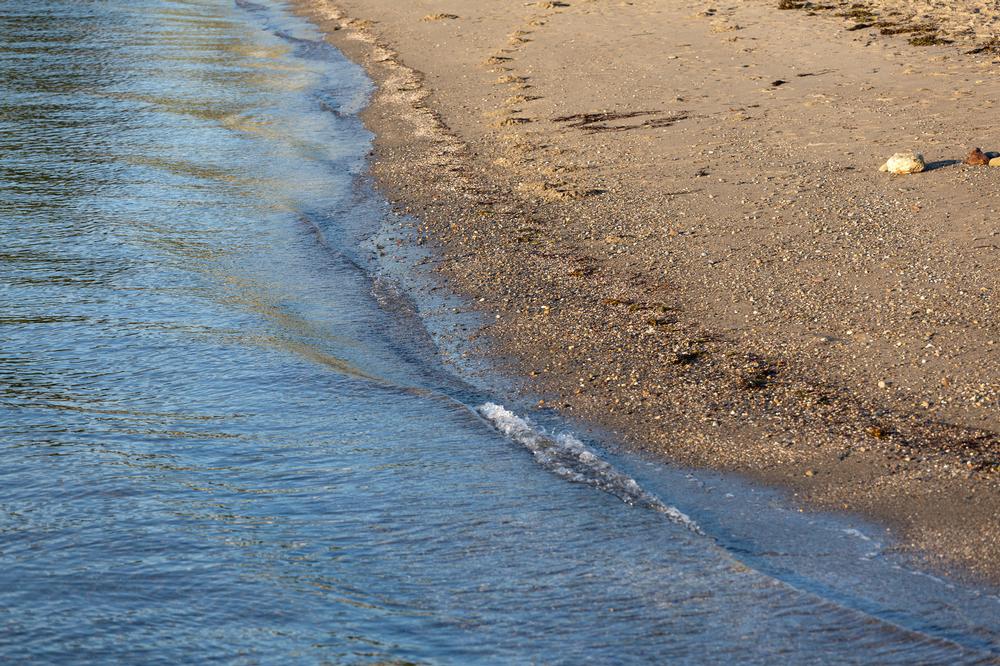 Explore Nature and Trails at Point Pinole Regional Shoreline