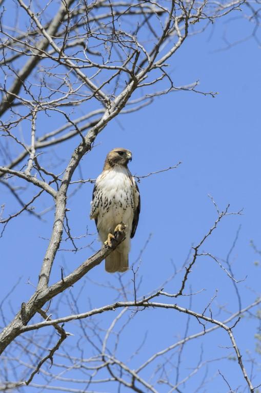 Explore Nature Hands-On at the Audubon Society Environmental Education Center