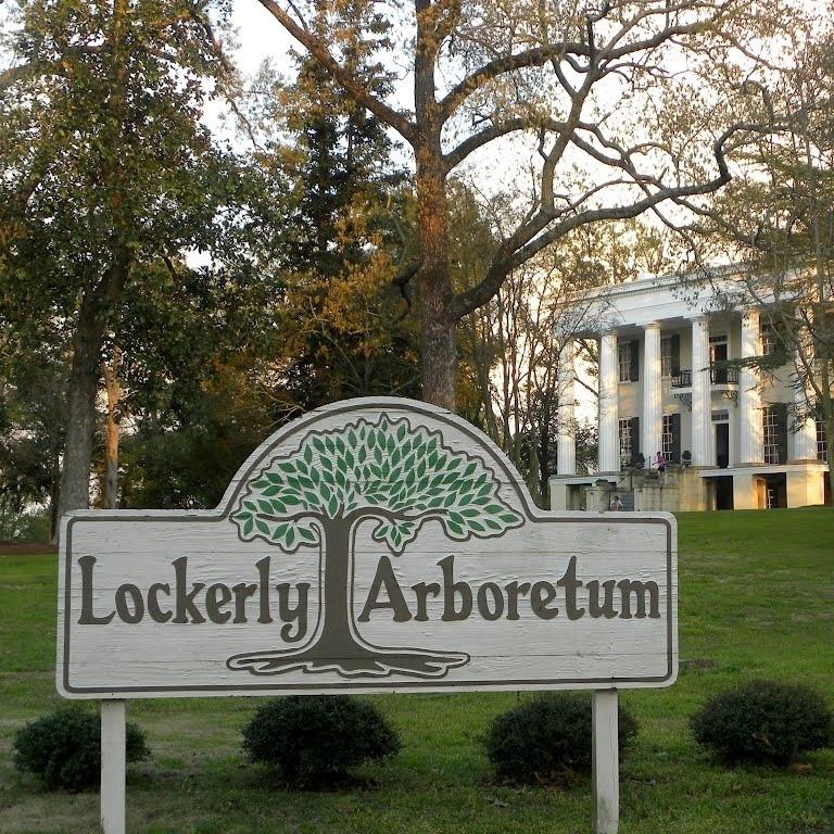 Wander Peaceful Gardens and Trails at Lockerly Arboretum