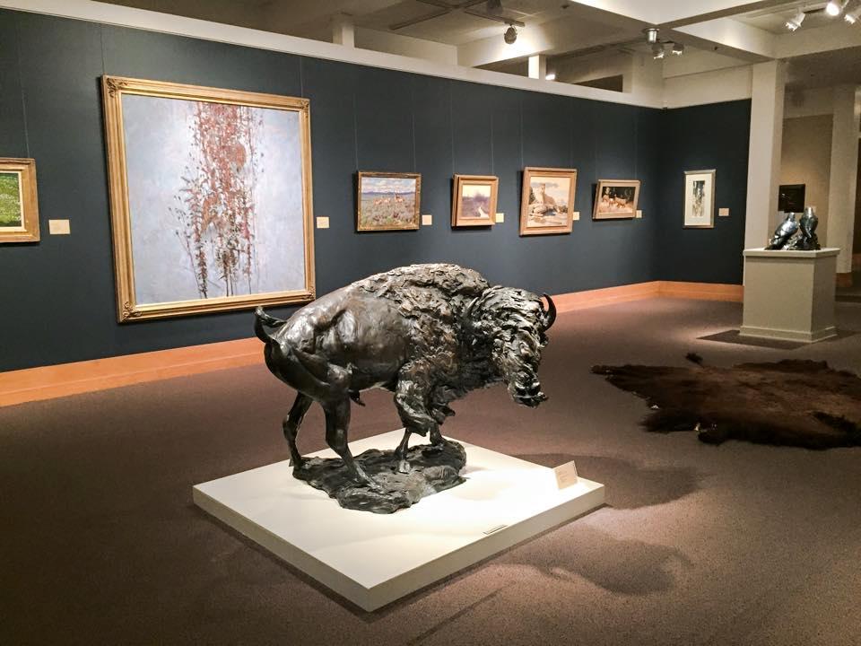 Discover Nature’s Majesty at the National Museum of Wildlife Art