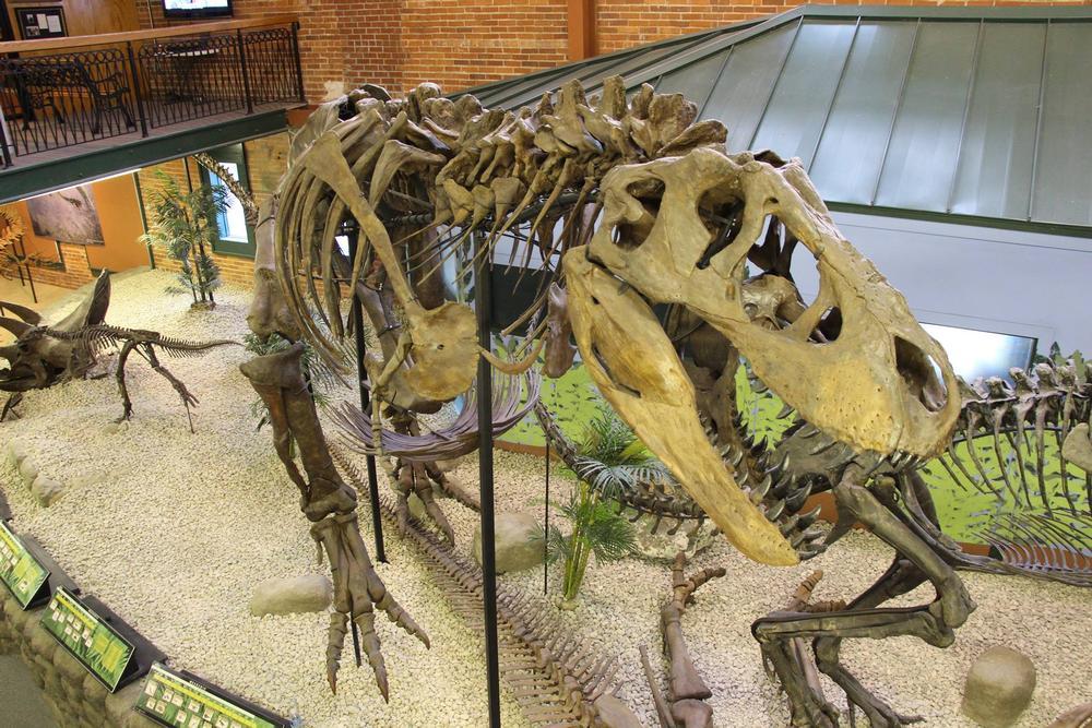 Admire ancient artifacts and see fascinating sights from around the world in Wichita.