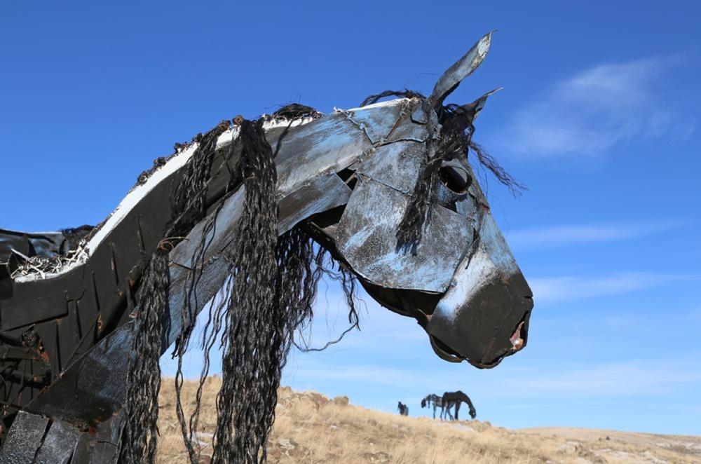 Gaze Across the Hills and Behold the Bleu Horses in Silent, Windswept Grace