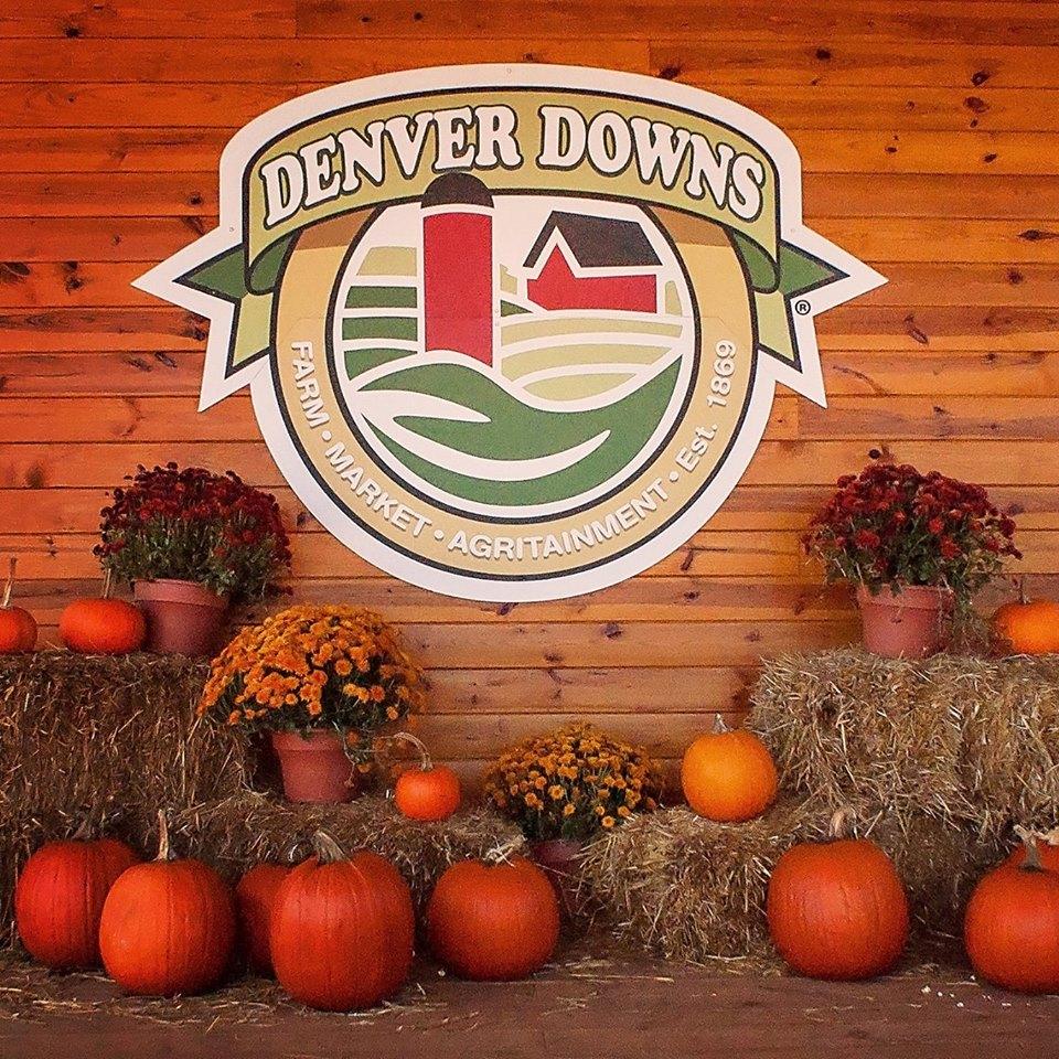Get Lost in Corn Mazes and Classic Farm Fun at Denver Downs Farm
