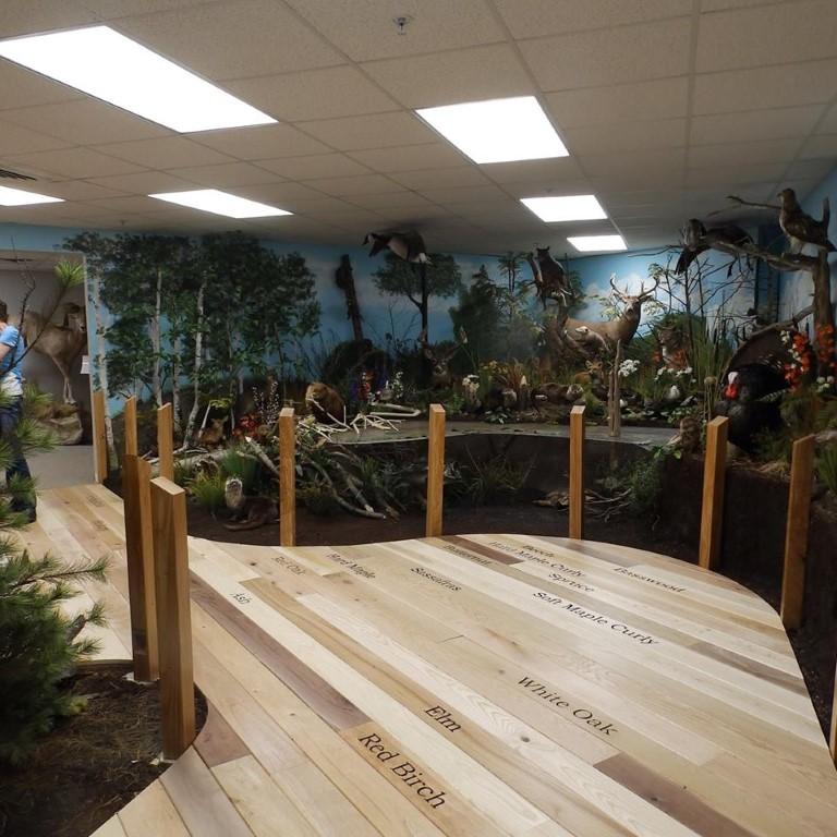 Get Up Close With Wildlife and Learn at The Card Wildlife Education Center