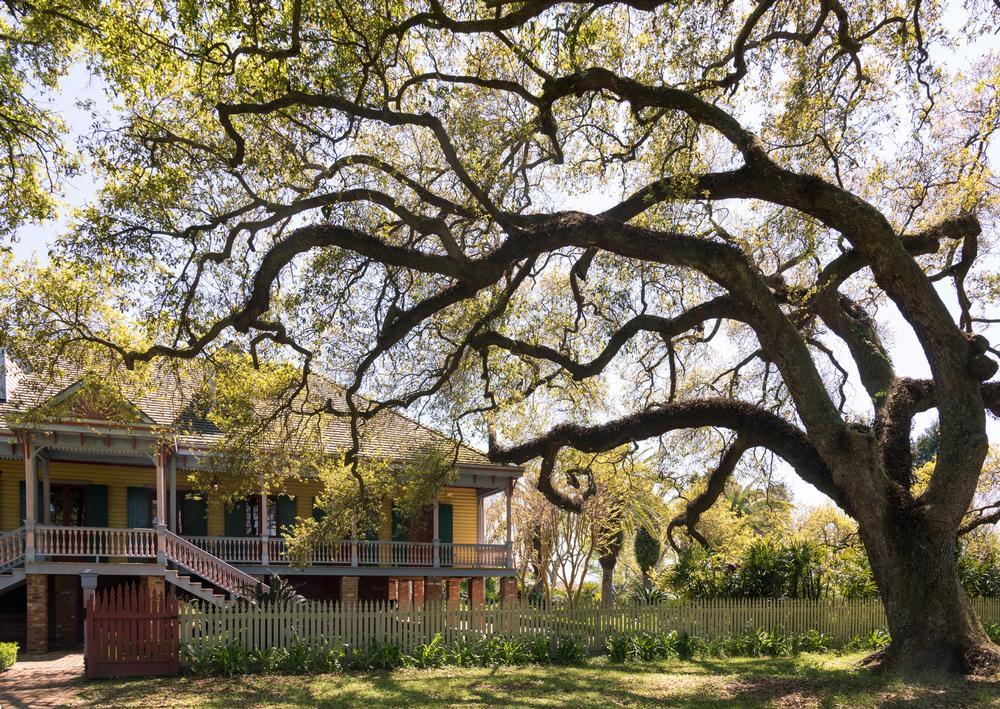 Explore Creole culture and walk through powerful history 