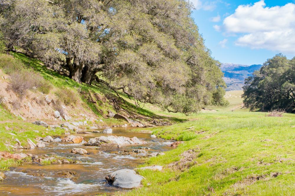 Hike on scenic trails at the Santa Ysabel East Preserve