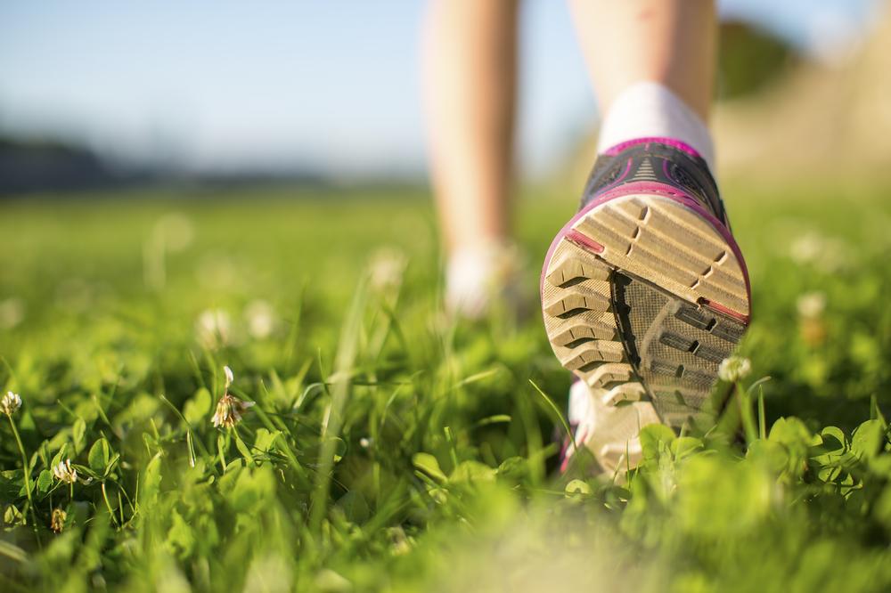 Hike Scenic Cliffs and Shores on the Clayhead Nature Trail
