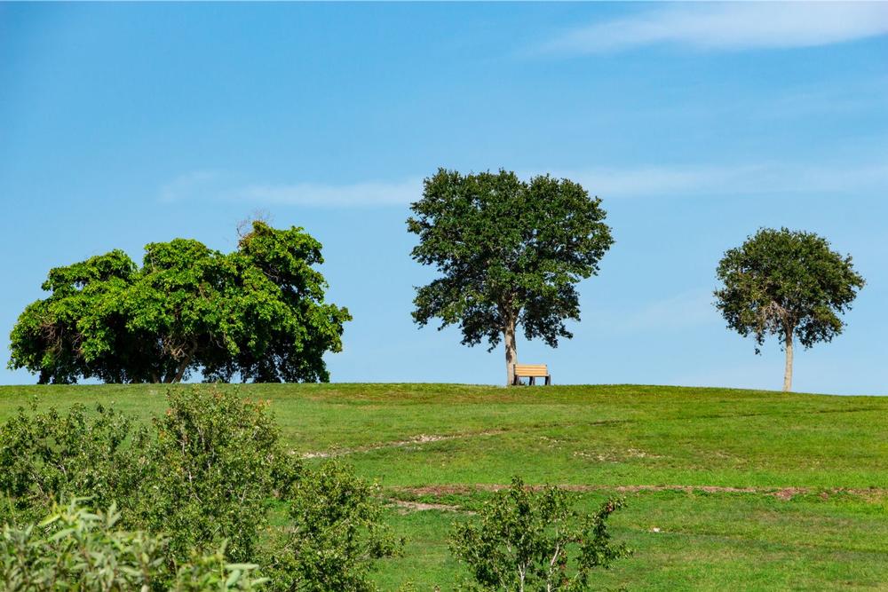 Walk, bike, or picnic while enjoying scenic views on a relaxing weekend trip.