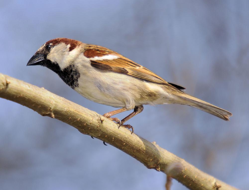 If You’re a Nature Lover, Wander Through Bon Secour National Wildlife Refuge