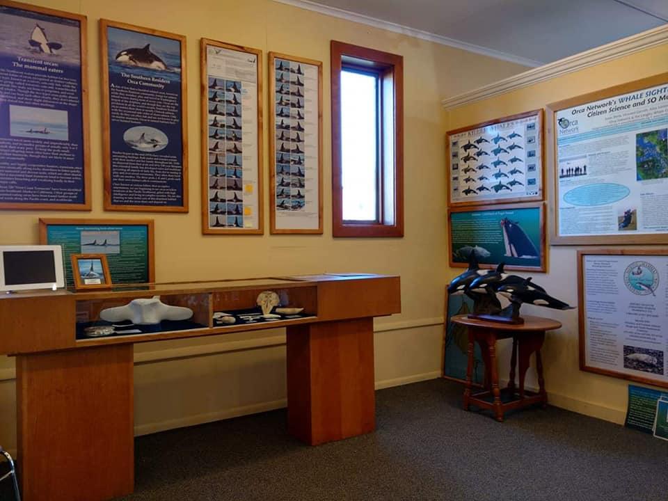 Learn About Orcas and Marine Life at the Langley Whale Center