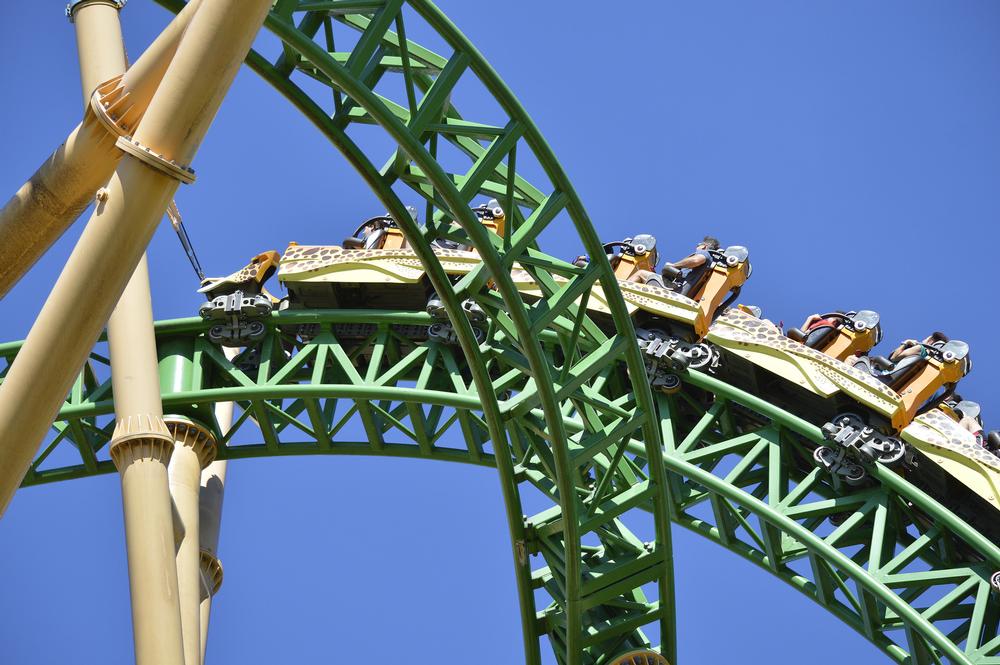 Ride thrilling coasters and see exotic animals on a fun family adventure.