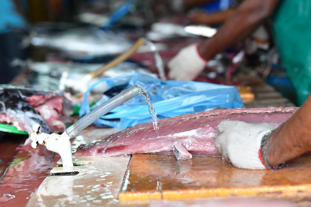 Male Fish Market