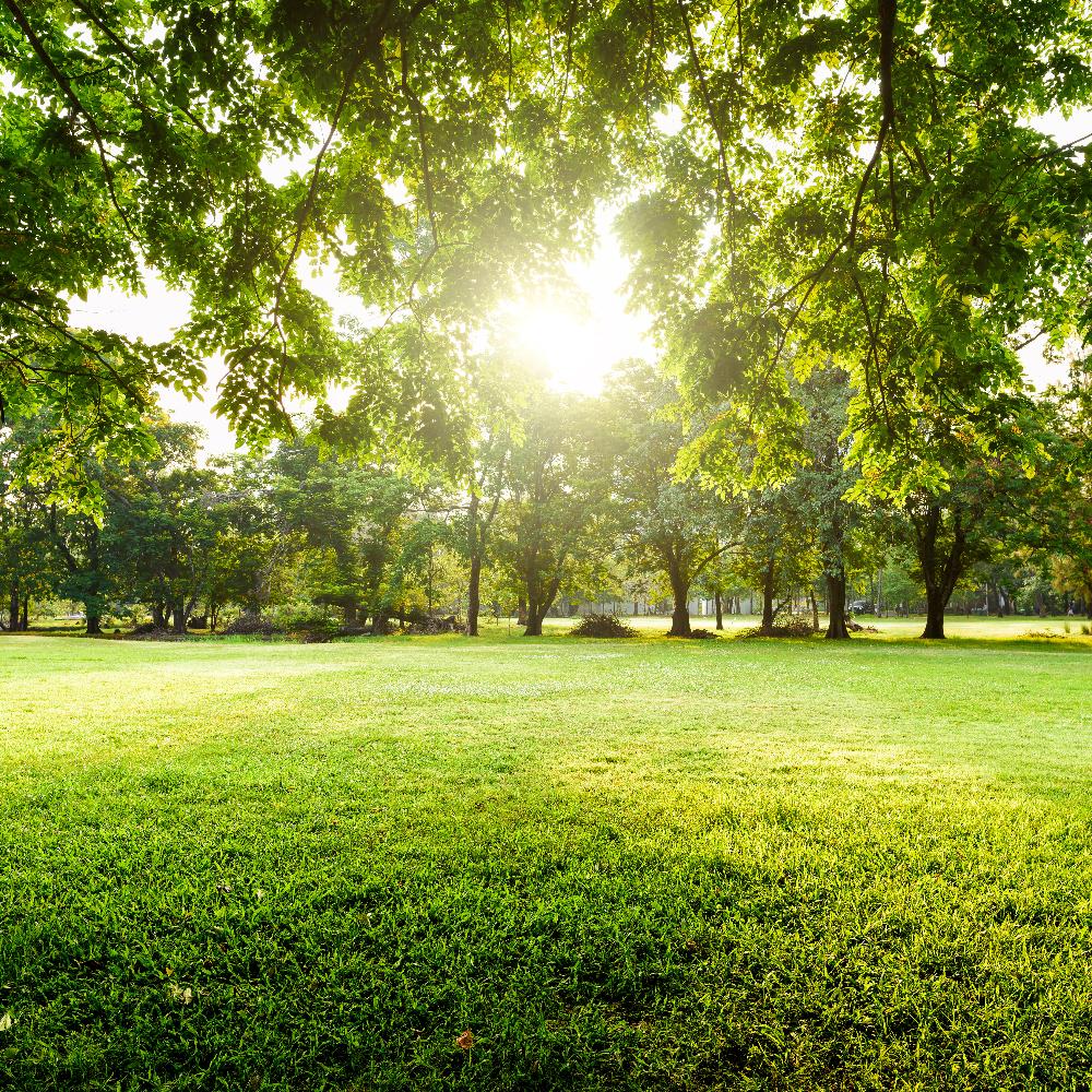 Walk shady paths and enjoy picnic spots during a relaxing weekend outing.