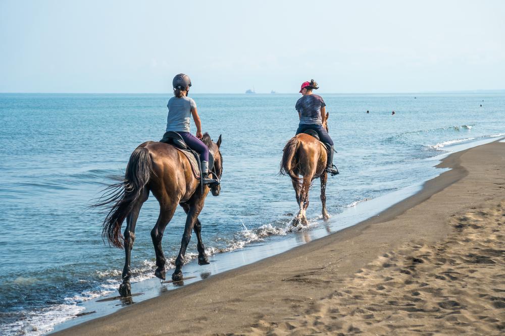 Ride Along the Coastline with Monterey Bay Equestrian Center