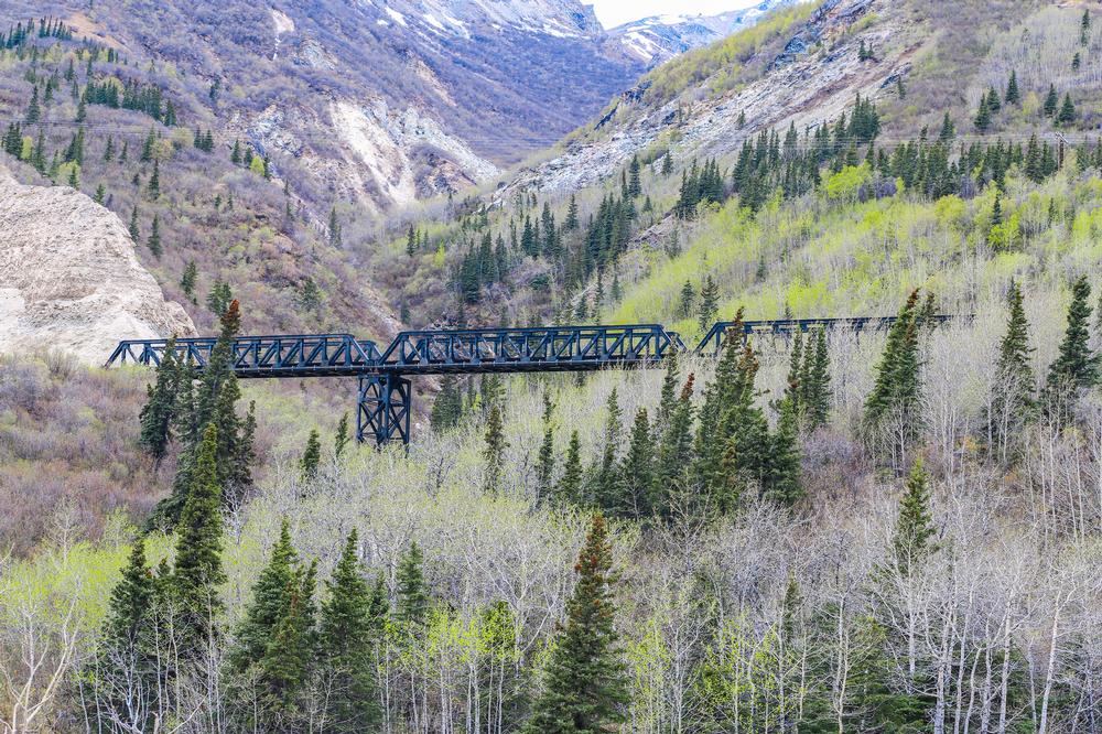 Ride the Rails Through Majestic Landscapes on the McKinley Explorer
