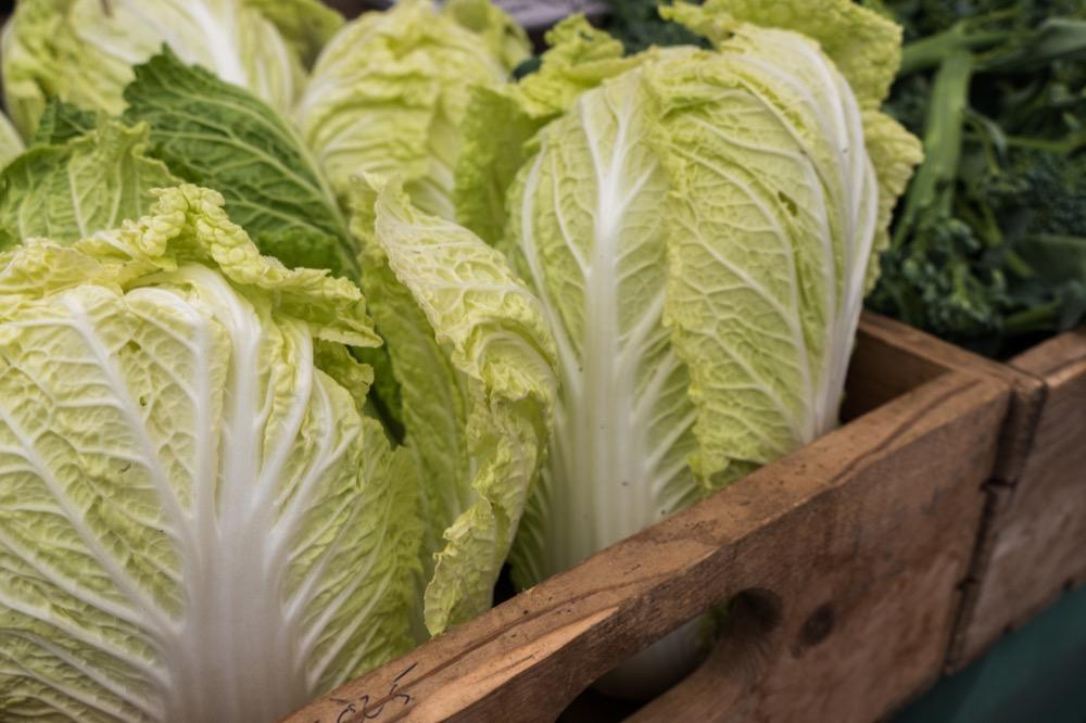 Shop Fresh and Local at the Jefferson County Farmers Market