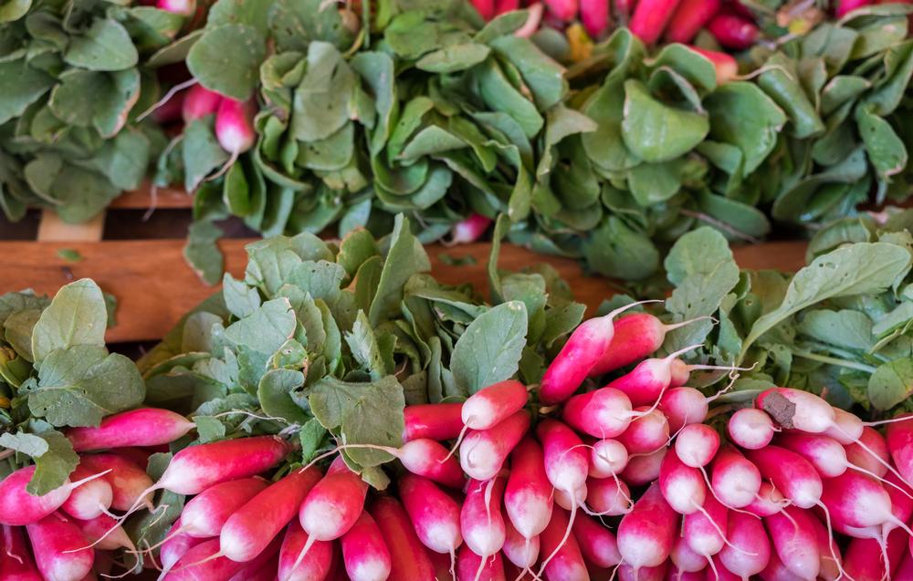 Shop Fresh Finds and Local Flavor at the Lynchburg Community Market