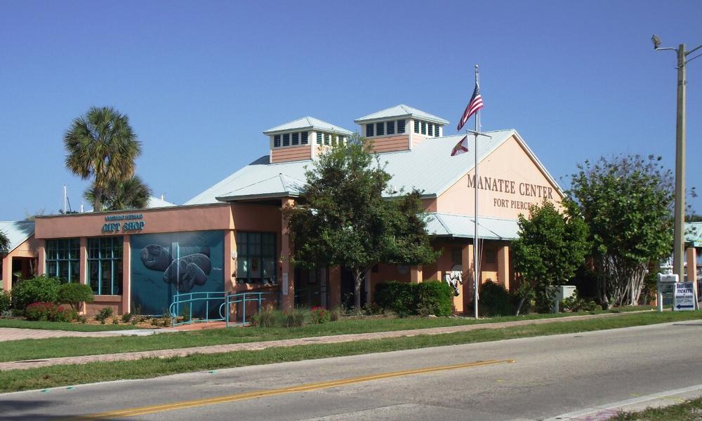 Spot Gentle Giants and Learn About Conservation at the Manatee Center