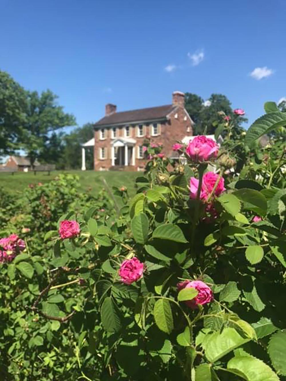 Step Into 19th-Century Life at the Ben Lomond Historic Site