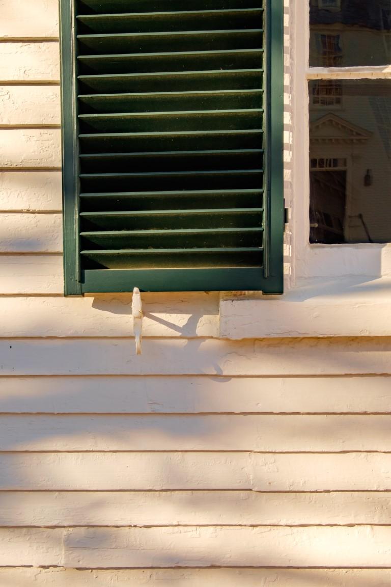 Step Into 19th-Century Life at The Calvin B. Taylor House Museum