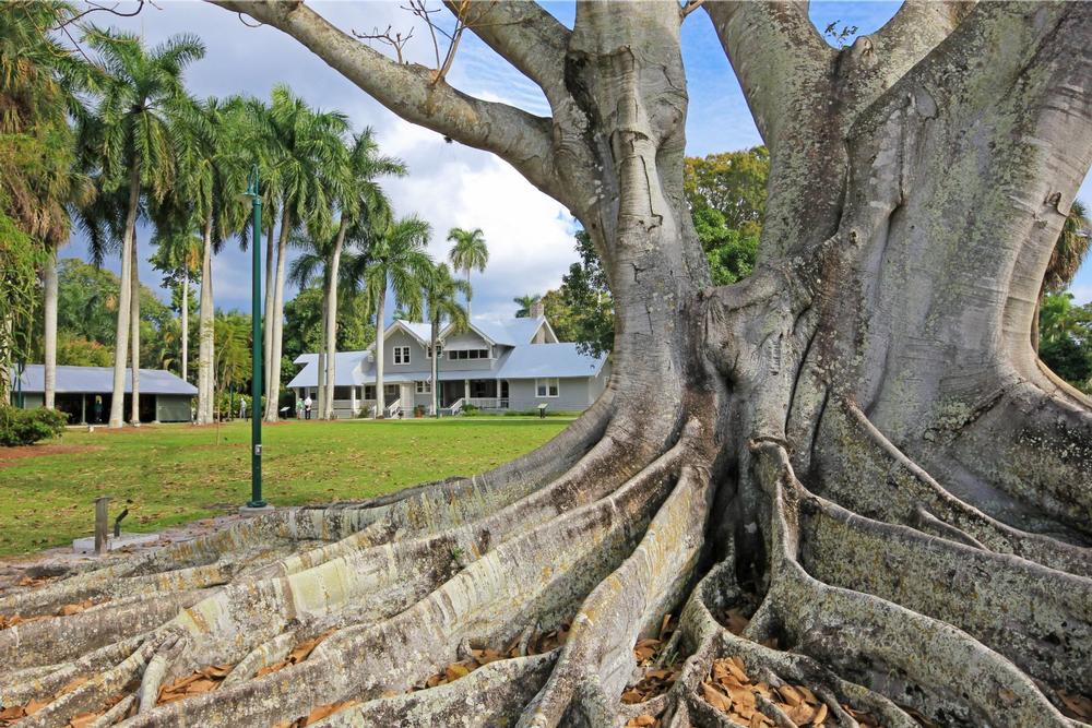 Step Into Innovation at the Edison & Ford Winter Estates