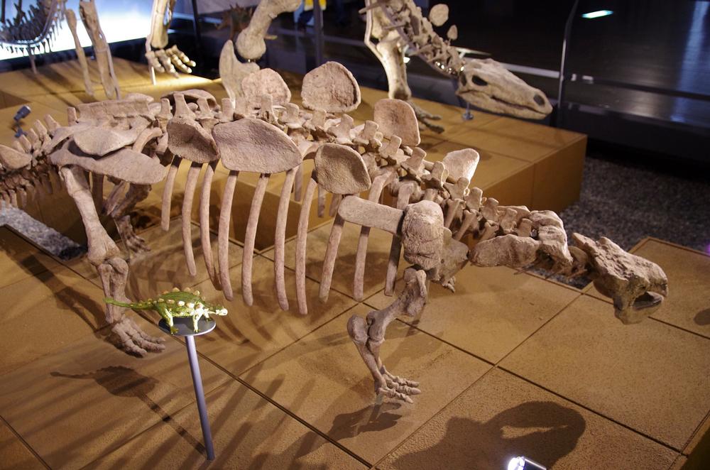 Step Into Prehistoric Michigan at the Museum of Natural History