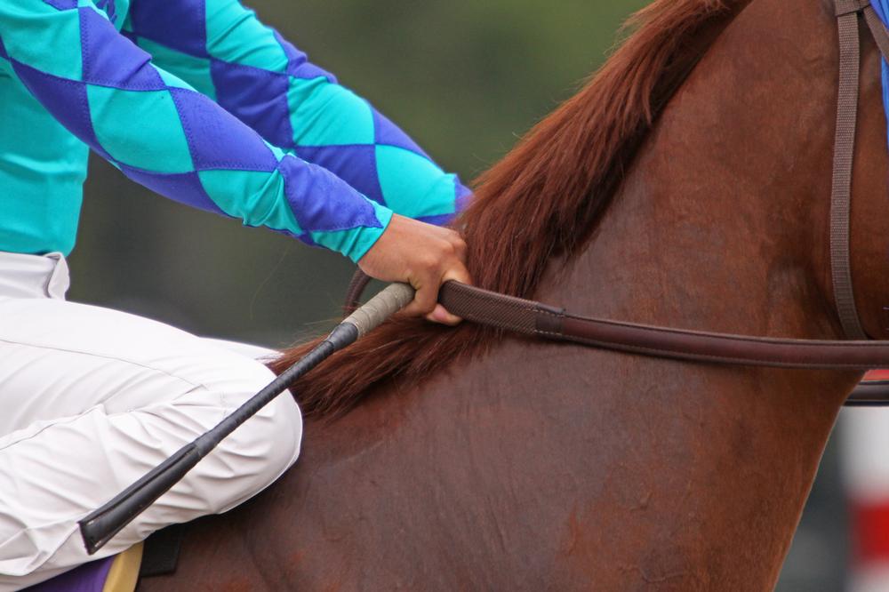 Discover horse racing history or visit Churchill Downs for an immersive experience.