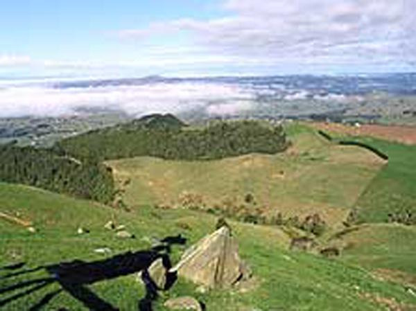 Take in Scenic Vistas on the Mt William Walkway
