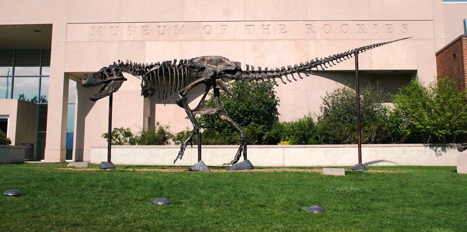 Visit to discover dinosaurs, space exhibits, and Montana’s fascinating prehistoric history.