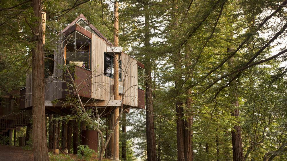 Admire breathtaking coastal views, savor luxurious treetop living.