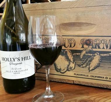 Visit Holly’s Hill Vineyard | Things to Do in Placerville, California