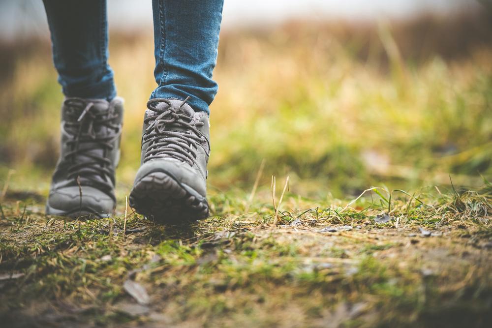 Walk or Bike Scenic Paths on The Richard Martin Trail
